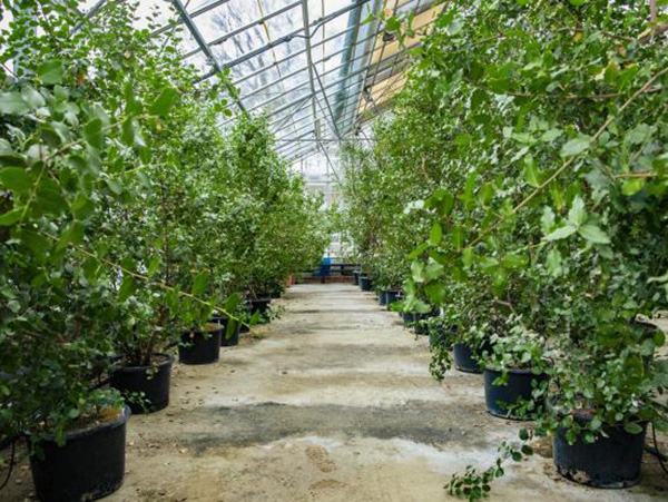 HotHouse Therapeutics featured by NRP