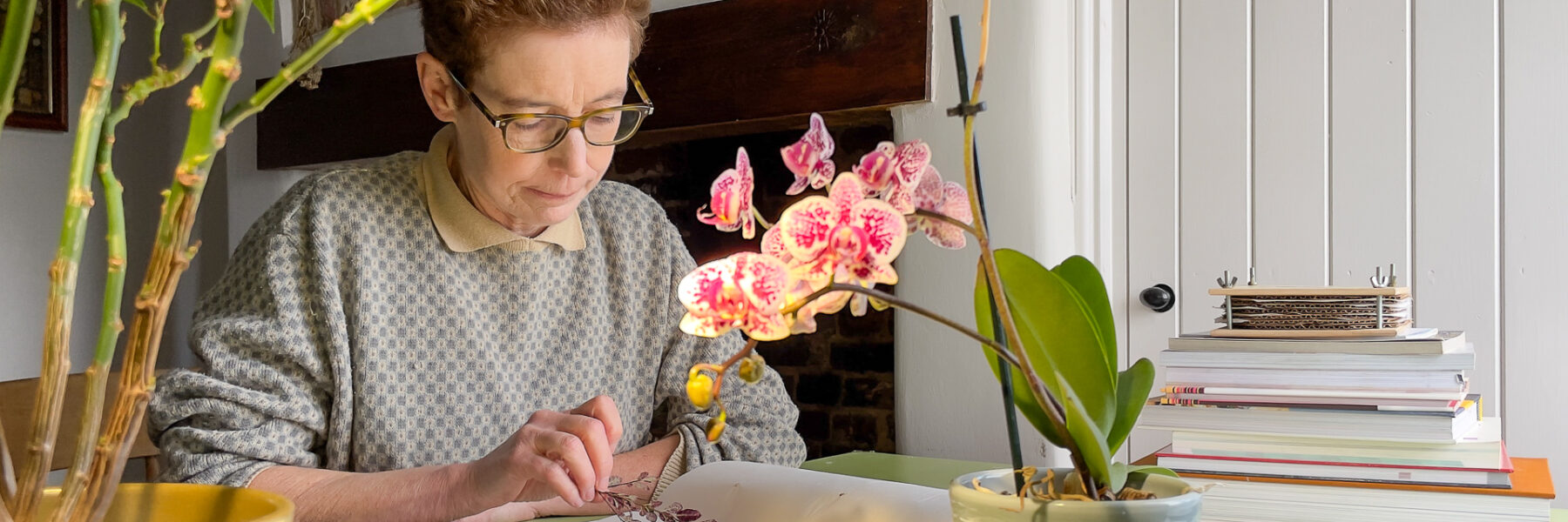 Prof Osbourn receives Novozymes Prize